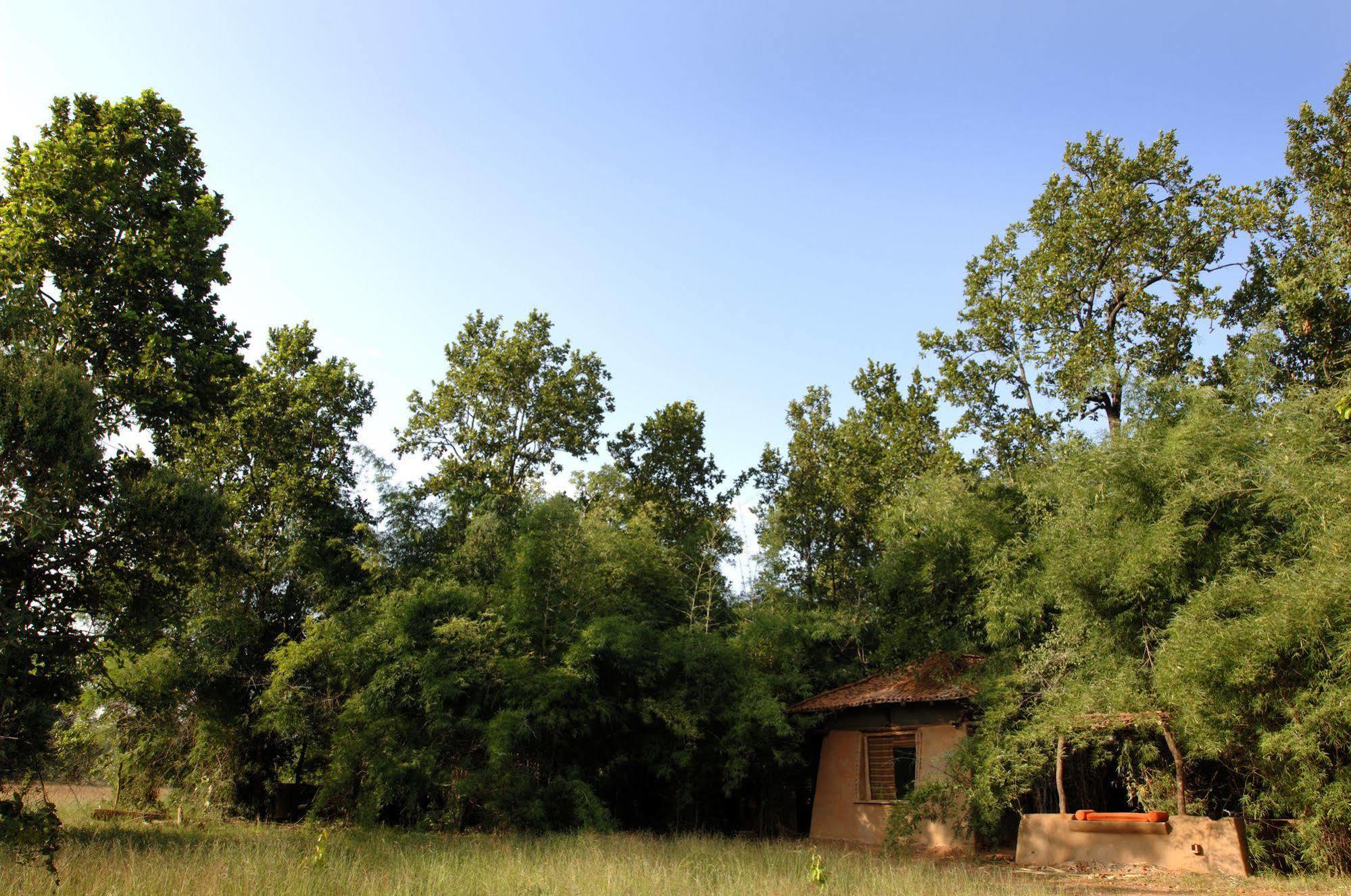 Mahua Kothi, Bandhavgarh National Park Hotel Tala  Exterior photo
